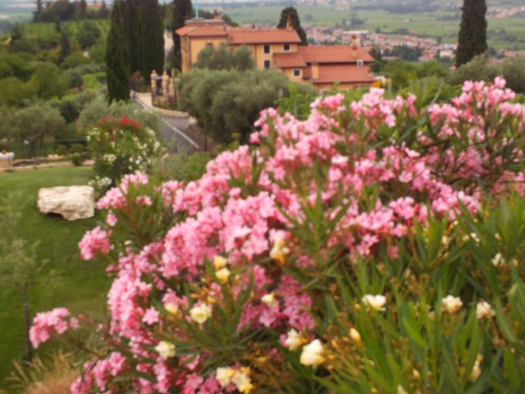סאן פייטרו אין קריאנו Villa Oleandri חדר תמונה